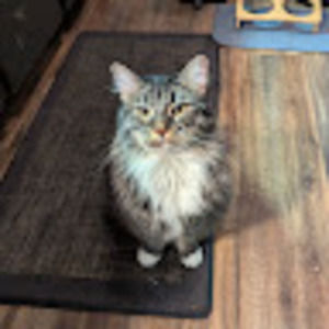 Meet your Posher, Dylan